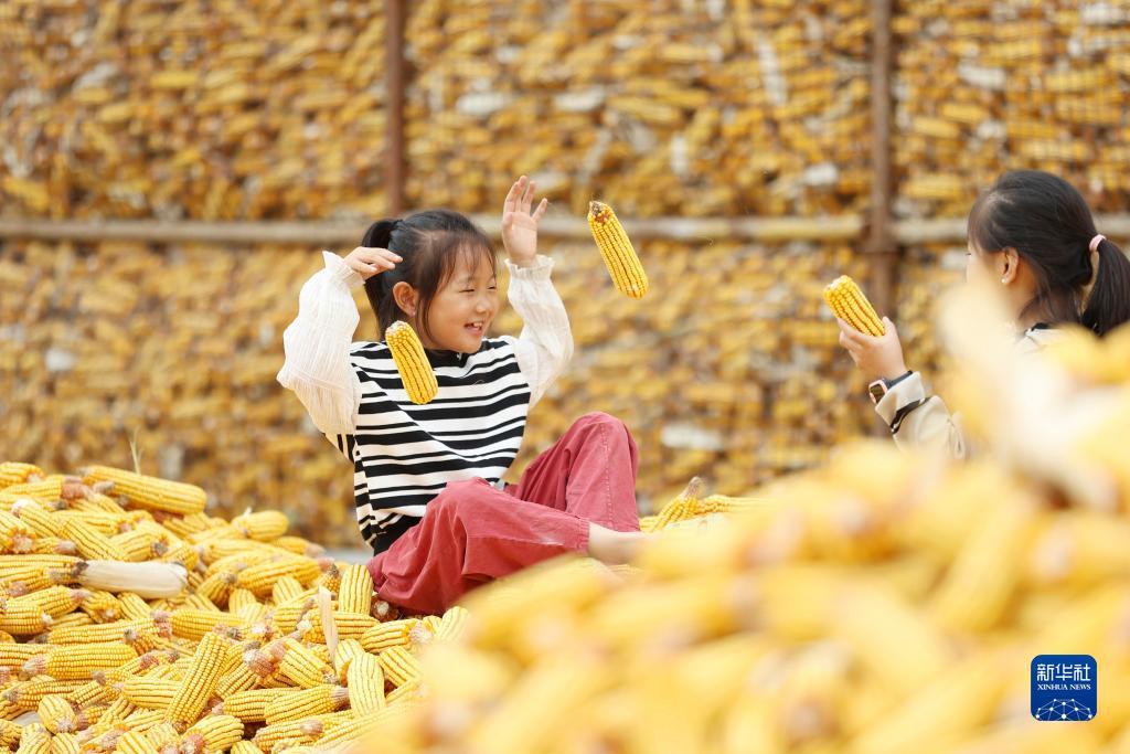 威尼娱乐
